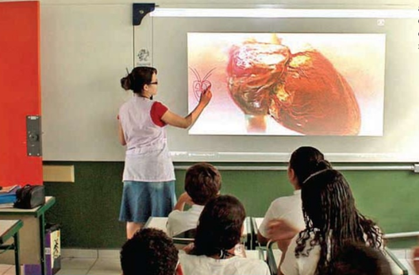 201775_professor